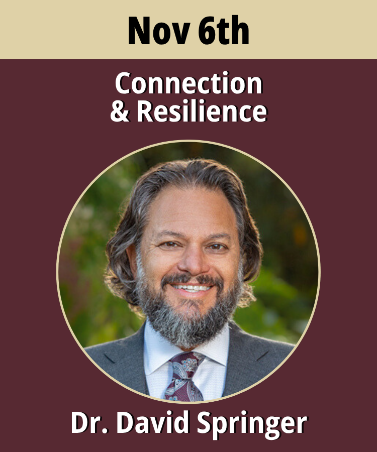 A garnet rectangle with a gold banner across the top with the date Nov 6th printed across the top. Below the banner on the garnet background is the webinar title, Connection & Resilience, a headshot of the speaker, Dr. Springer, and the presenter's name, Dr. David Springer in white text at the bottom.